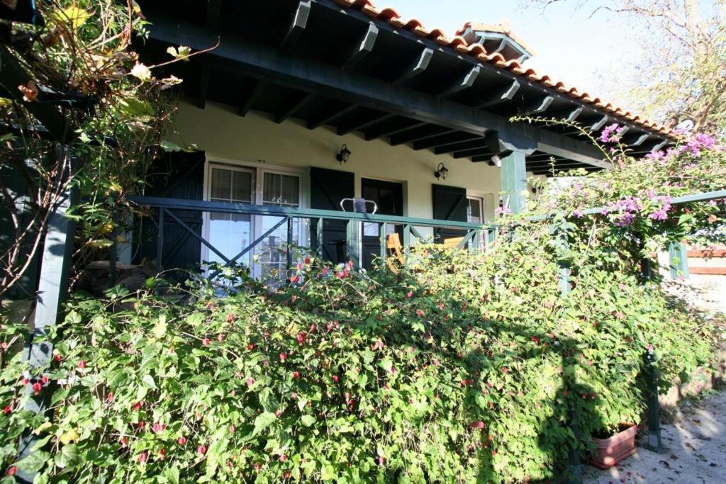 La Casa De Gene Villa Ruilobuca Exterior photo